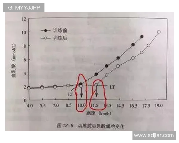 科学乒乓球耐力训练的有效方法与技巧探讨